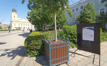 Debrecen a TOP3-ban az Európa Zöld Fővárosa címért zajló versenyben