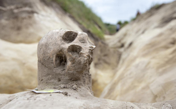 Tatárjárás kori tömegsírt tártak fel a régészek Tázláron