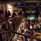 Felpezsdült a galéria