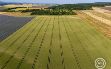 Agrometeorológia: országszerte mérséklődött az aszály, nagy területen meg is szűnt