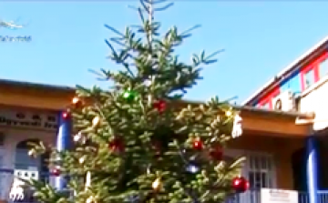 Karácsonyfa és forraltbor a piactéren - DSTV videóval