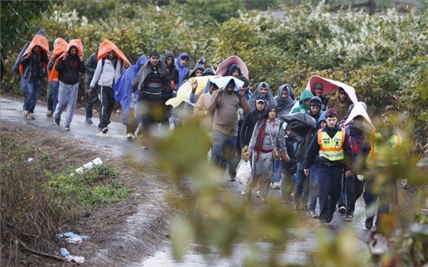 Illegális bevándorlás - Kormányszóvivő: véget kell vetni a félrebeszélésnek