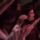 Felpezsdült a galéria