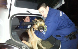 Visszakapta kutyáját a fehérvári kisfiú