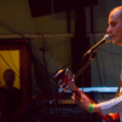 Felpezsdült a galéria