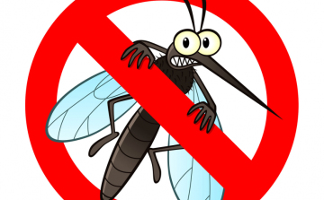 Katasztrófavédelem: Budapesten és hét vármegyében lesz szúnyogirtás a héten