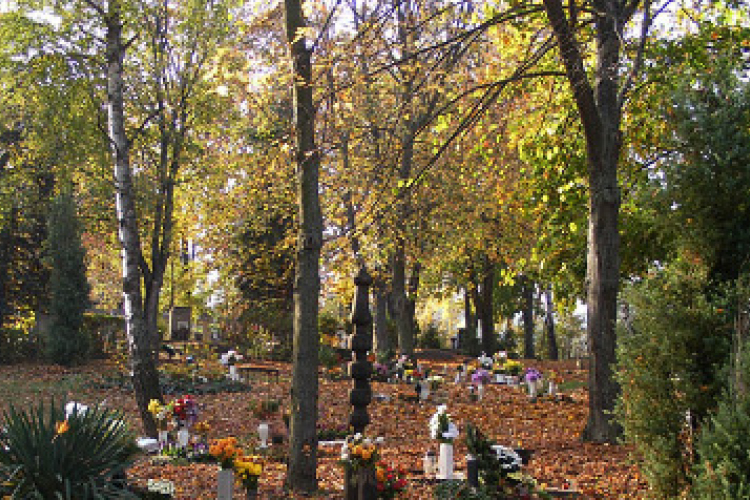 Képzéssel a hátrányos helyzetűekért