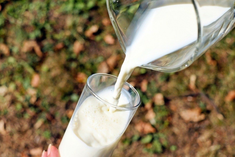 Online térben népszerűsíti a tejfogyasztást a Tej Terméktanács