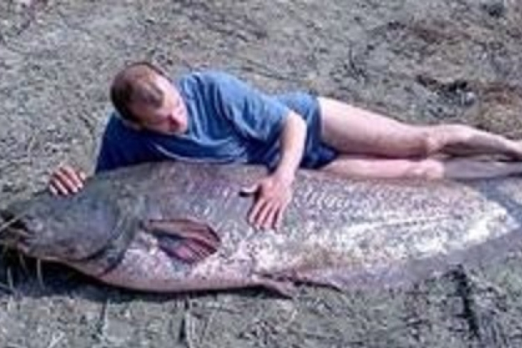 216 centi, 98 kiló - rekordharcsát fogott egy kaposvári horgász