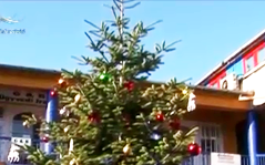 Karácsonyfa és forraltbor a piactéren - DSTV videóval