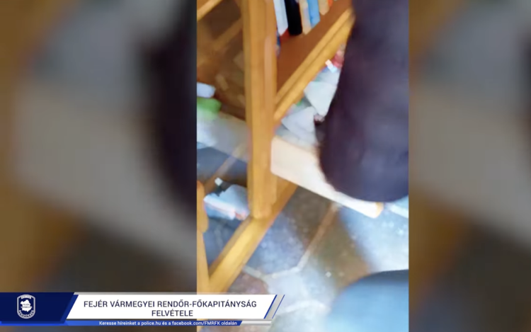 INGATLANCSALÓ BŰNSZÖVETSÉG FELSZÁMOLVA 